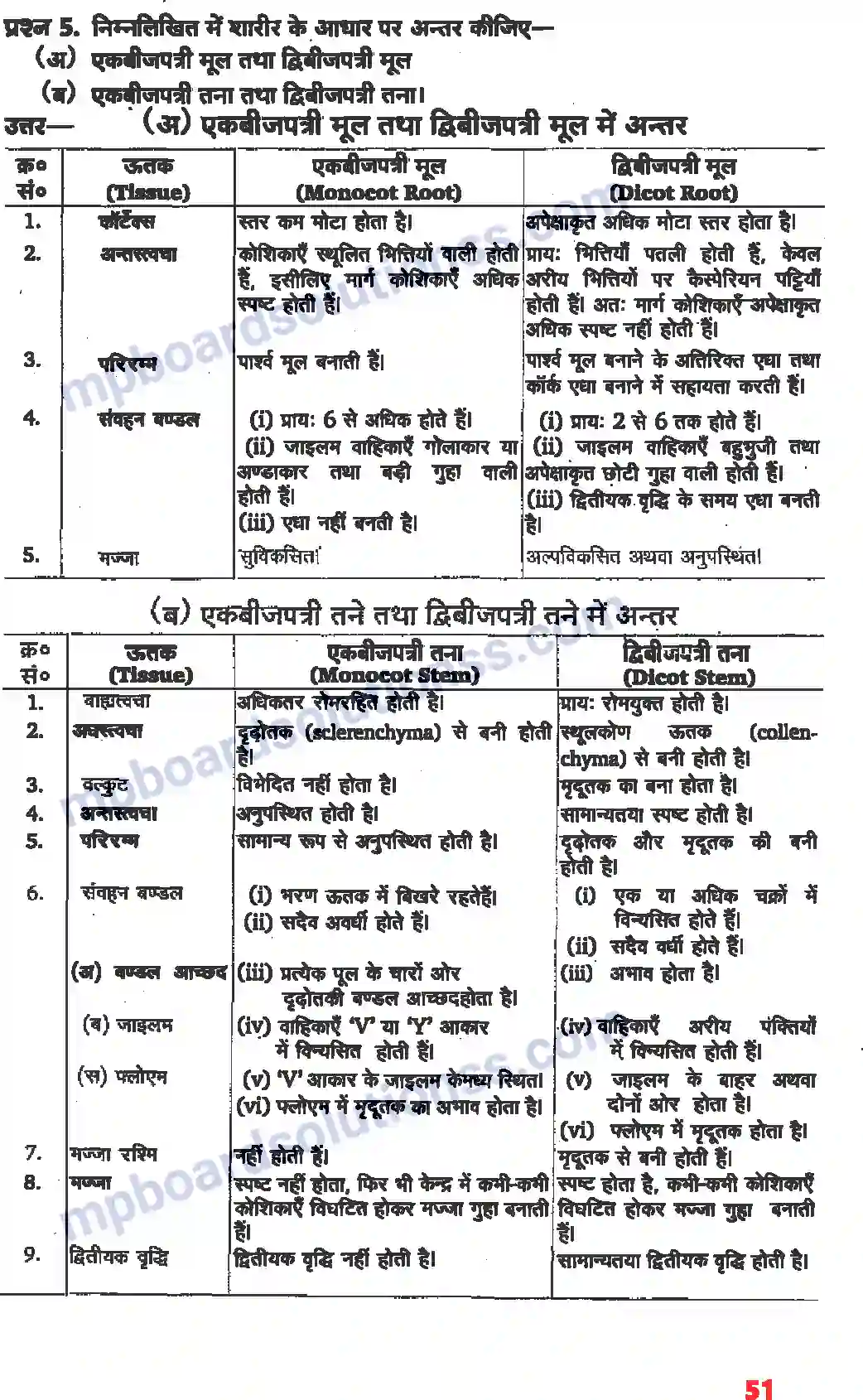 MP Board Book for Class 11 Biology पुष्पी पादपों का शारीर Image 5