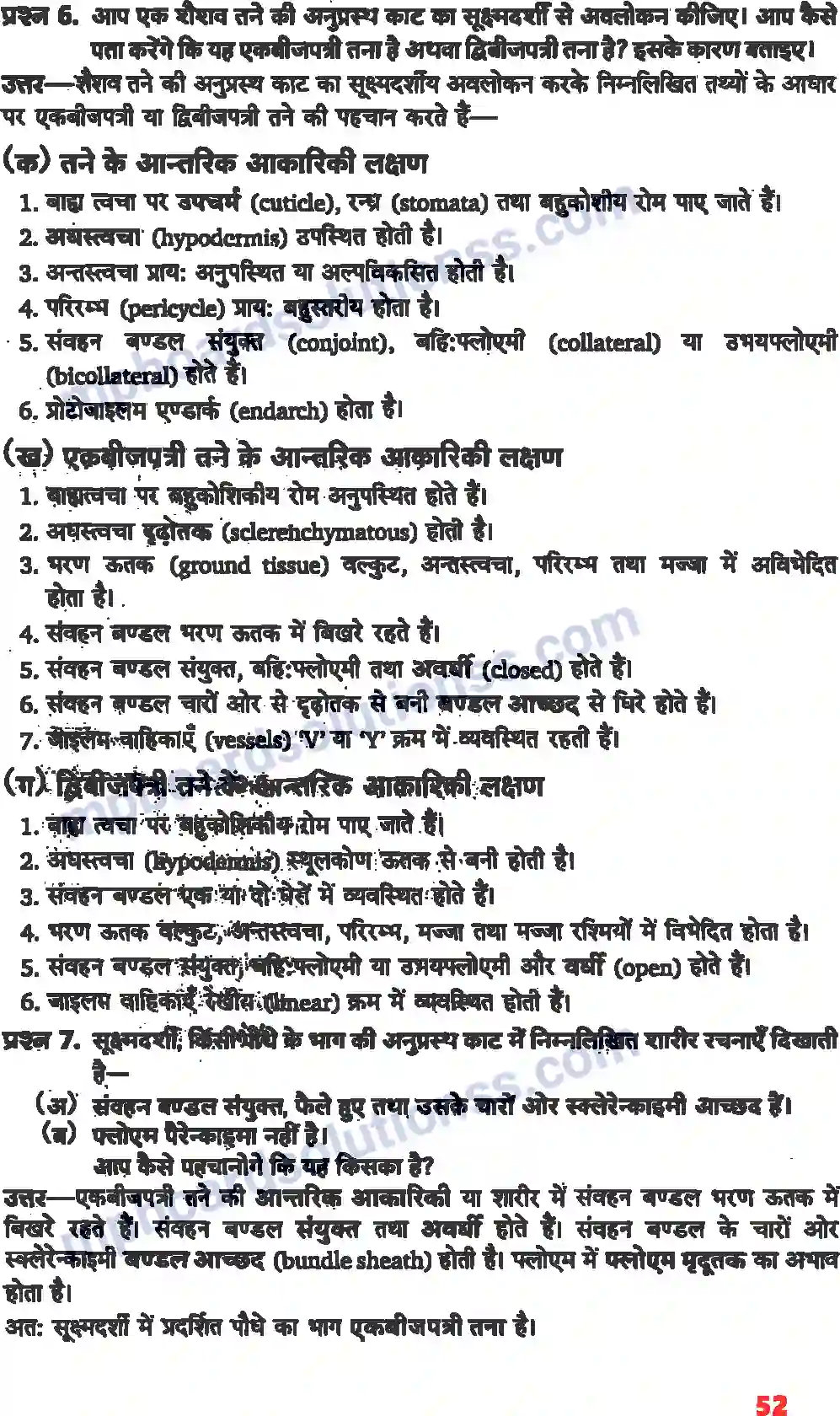 MP Board Book for Class 11 Biology पुष्पी पादपों का शारीर Image 6