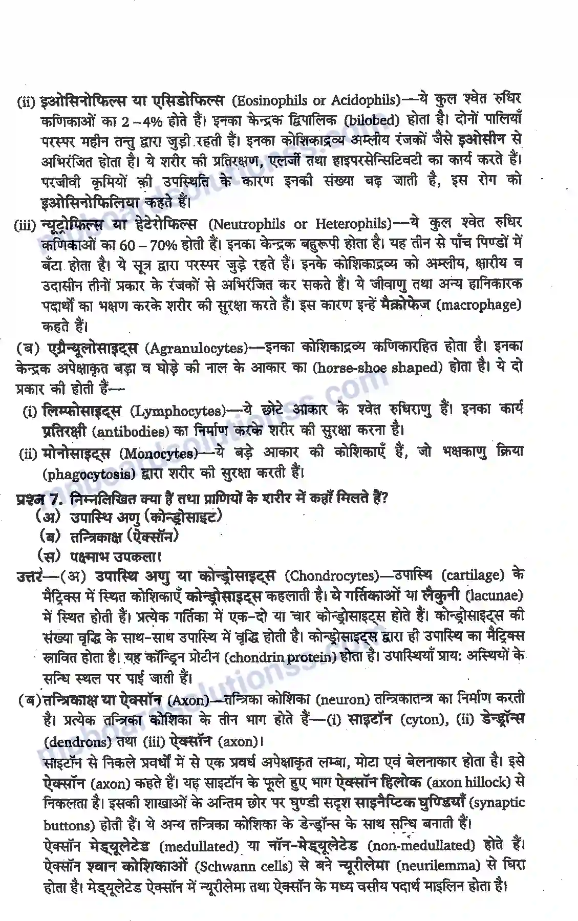MP Board Book for Class 11 Biology प्राणियों में संरचनात्मक संगठन Image 5
