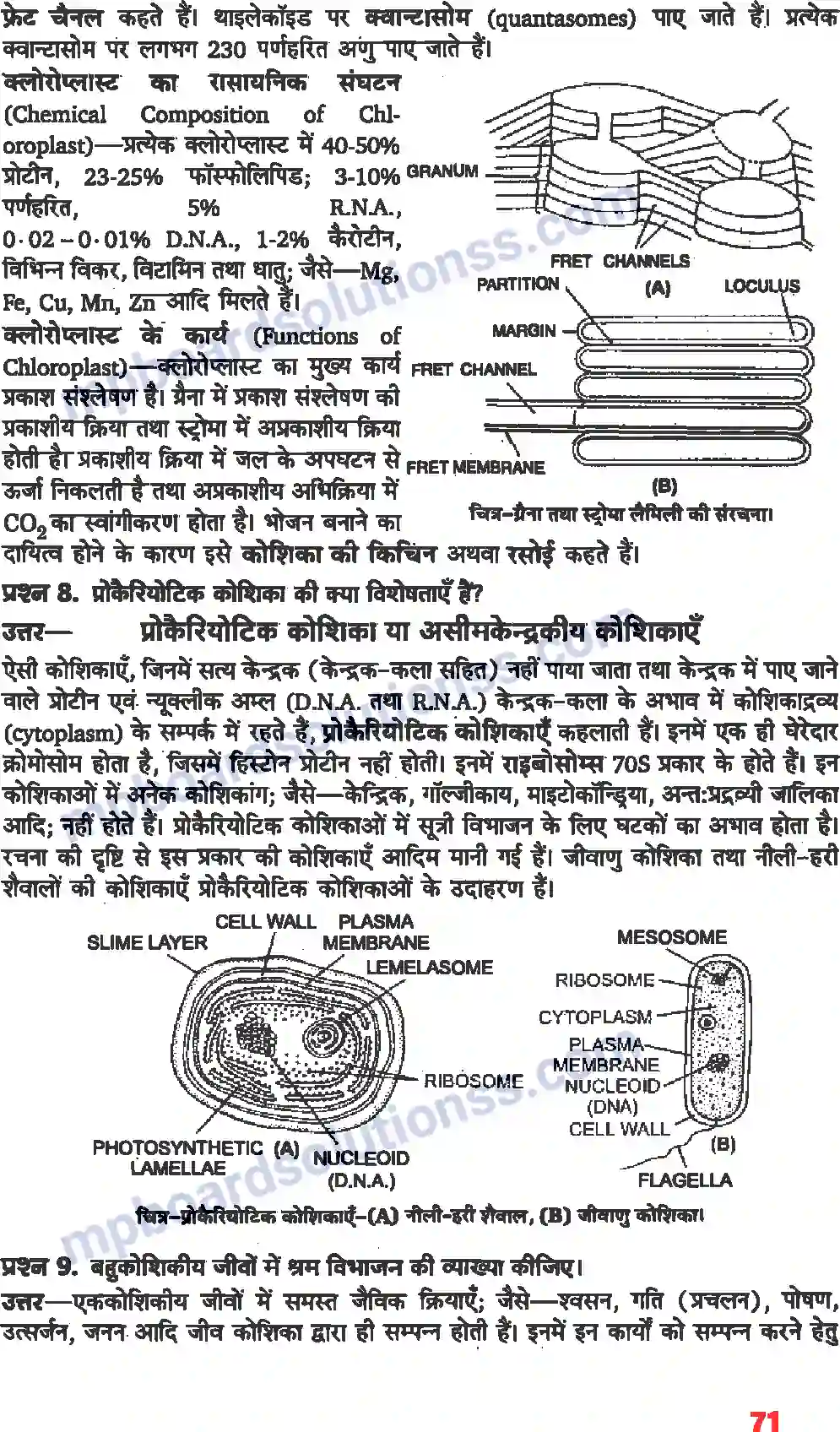 MP Board Book for Class 11 Biology कोशिका जीवन की इकाई Image 4