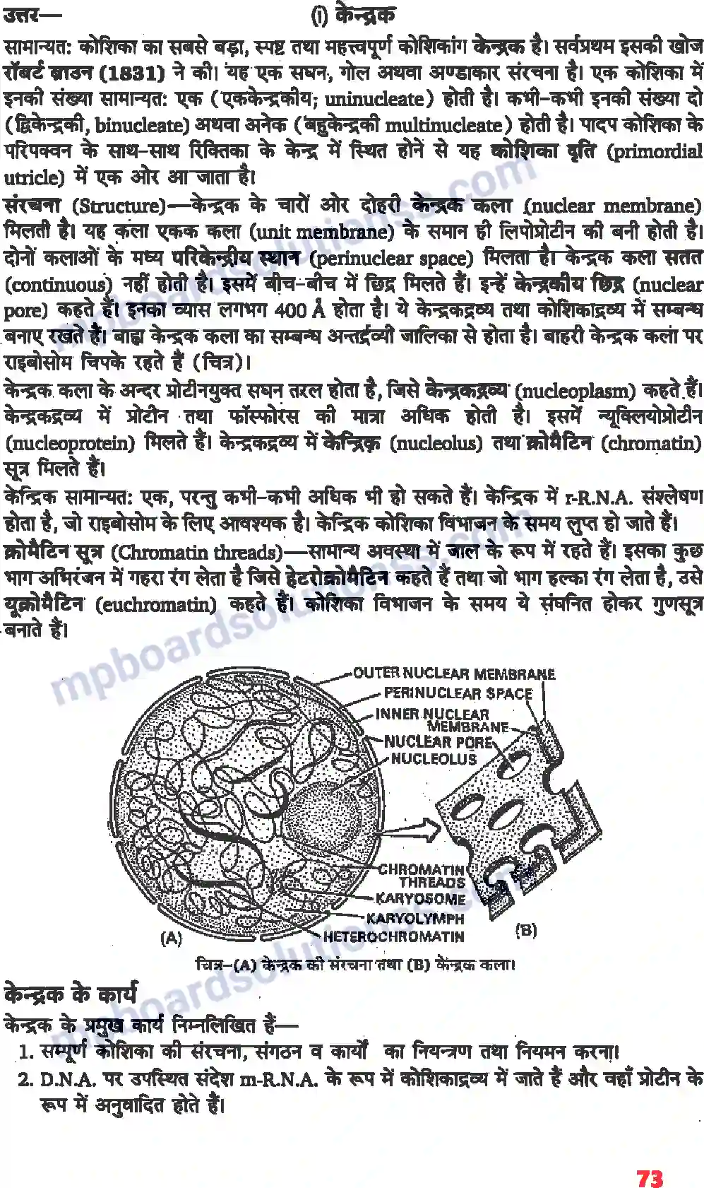 MP Board Book for Class 11 Biology कोशिका जीवन की इकाई Image 6