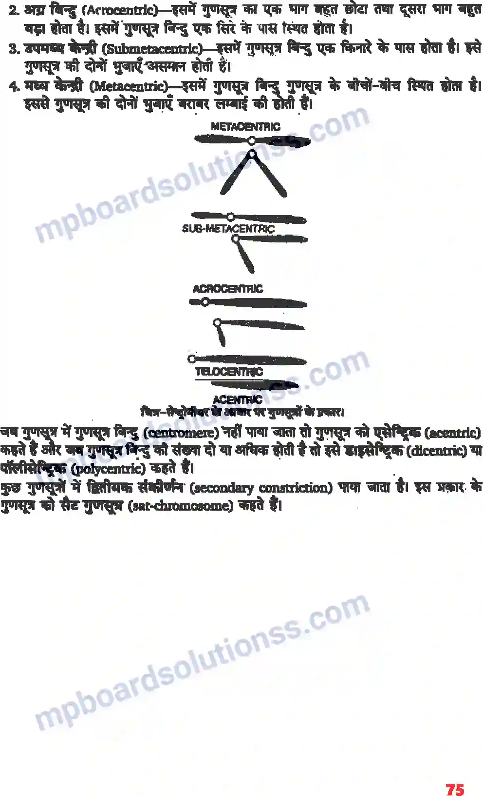 MP Board Book for Class 11 Biology कोशिका जीवन की इकाई Image 8