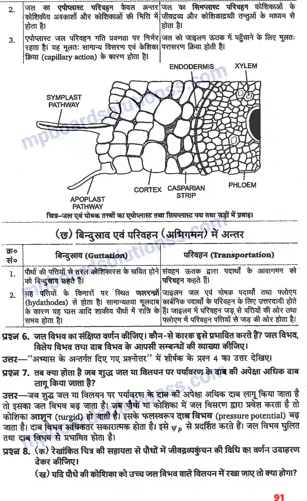 MP Board Book for Class 11 Biology पौधों में परिवहन Image 4