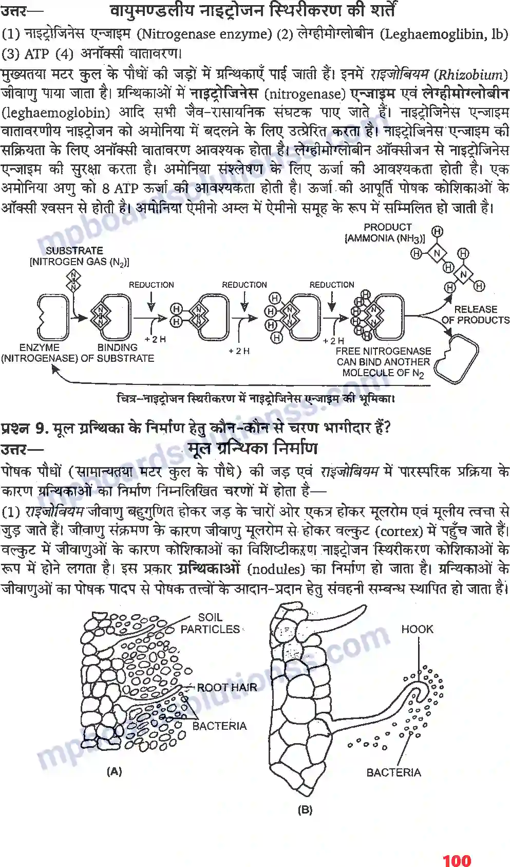 MP Board Book for Class 11 Biology खनिज पोषण Image 3