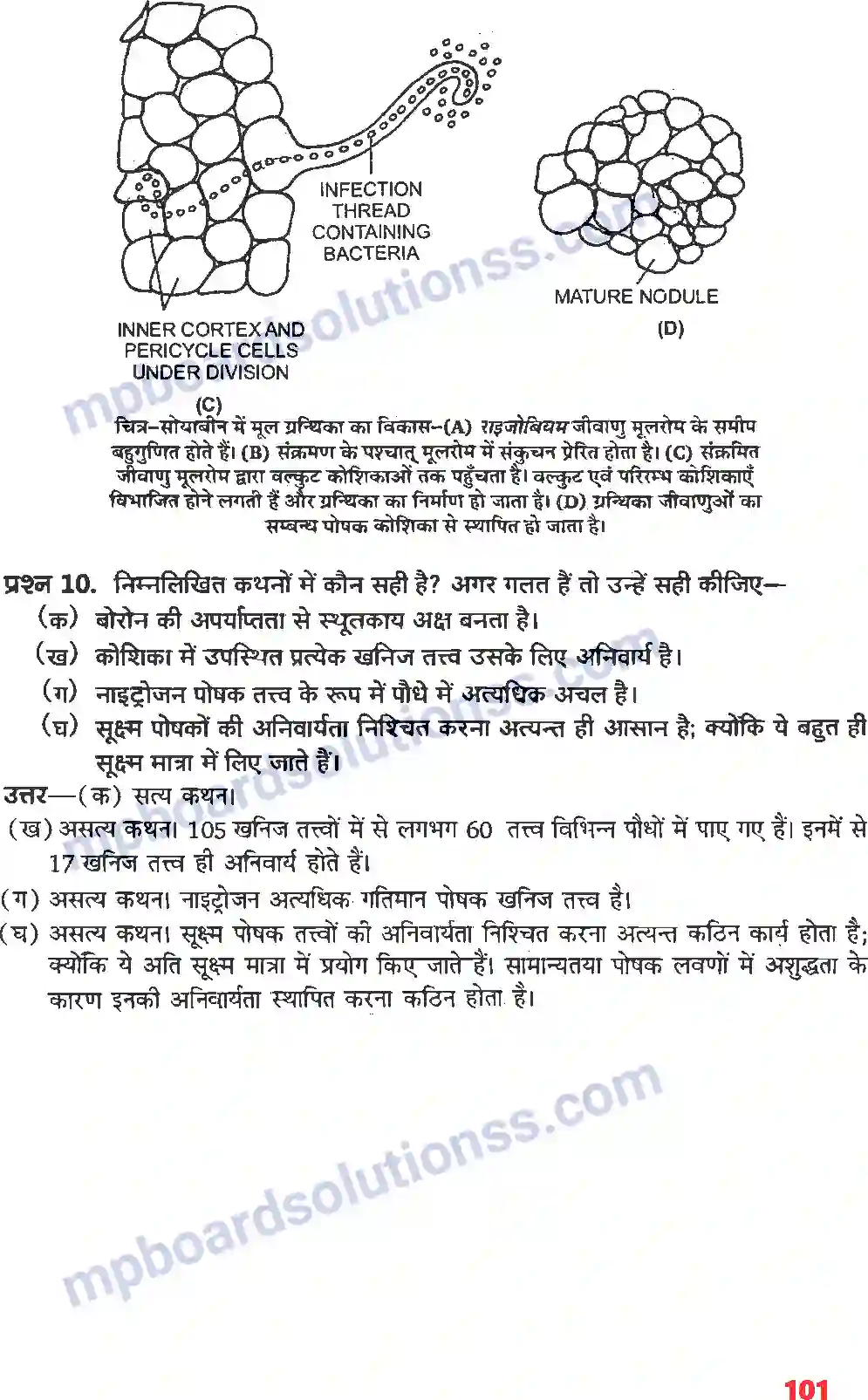 MP Board Book for Class 11 Biology खनिज पोषण Image 4