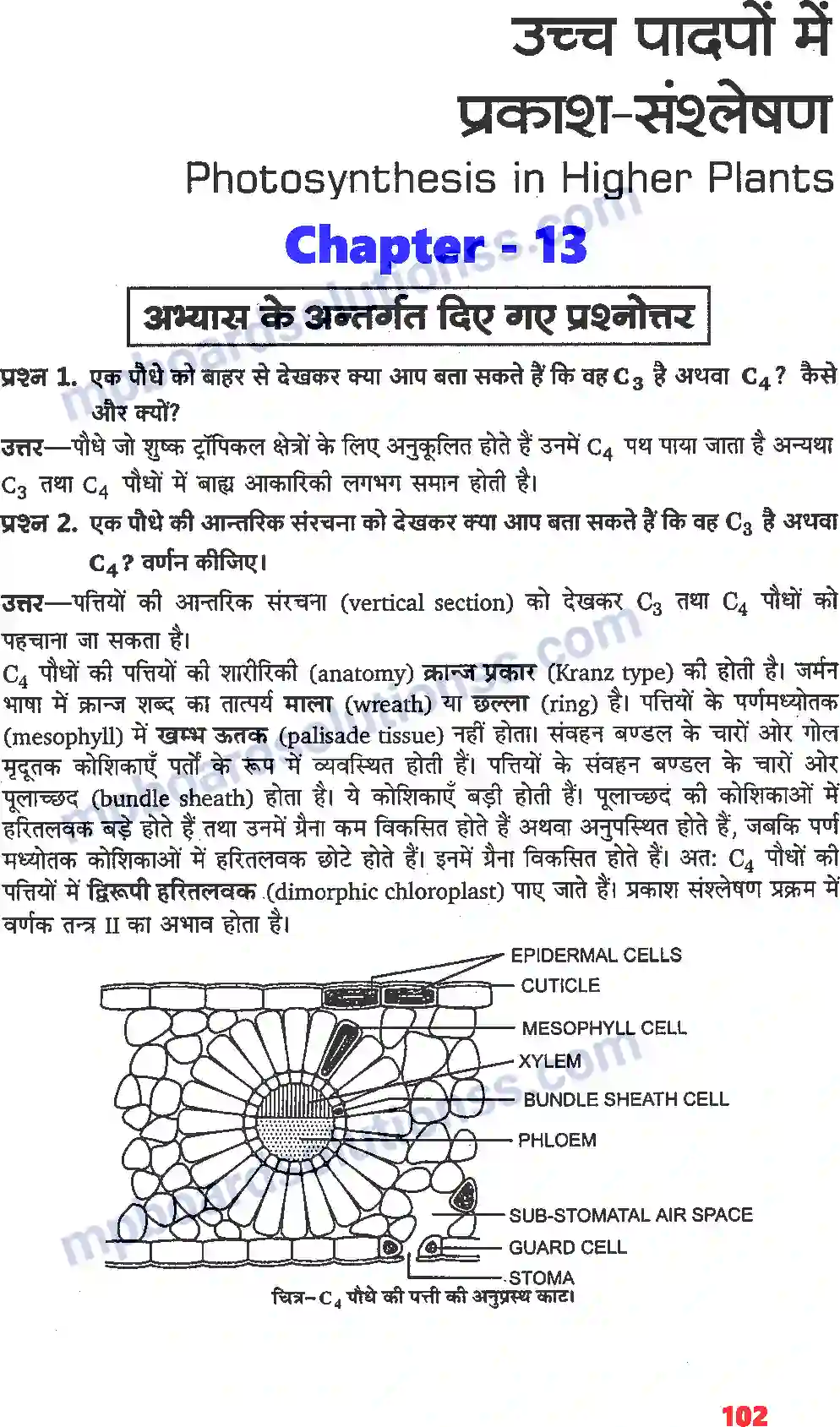 MP Board Book for Class 11 Biology उच्च पादपों में प्रकाश-संश्लेषण Image 1