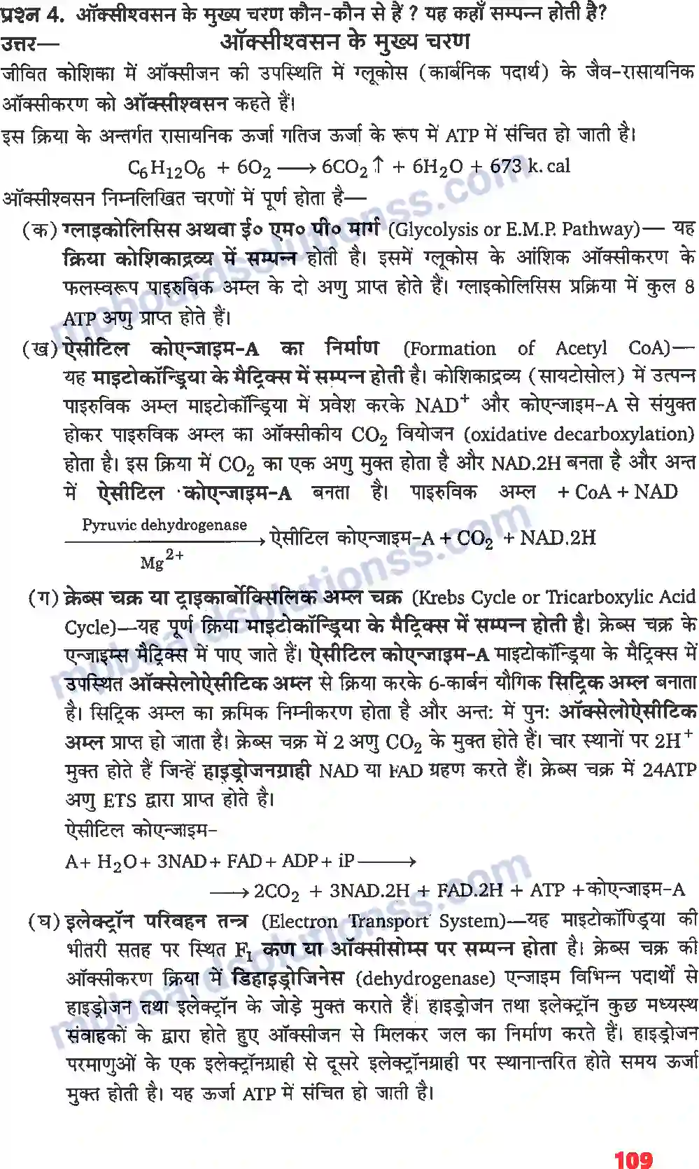 MP Board Book for Class 11 Biology पादप में स्वशन Image 3