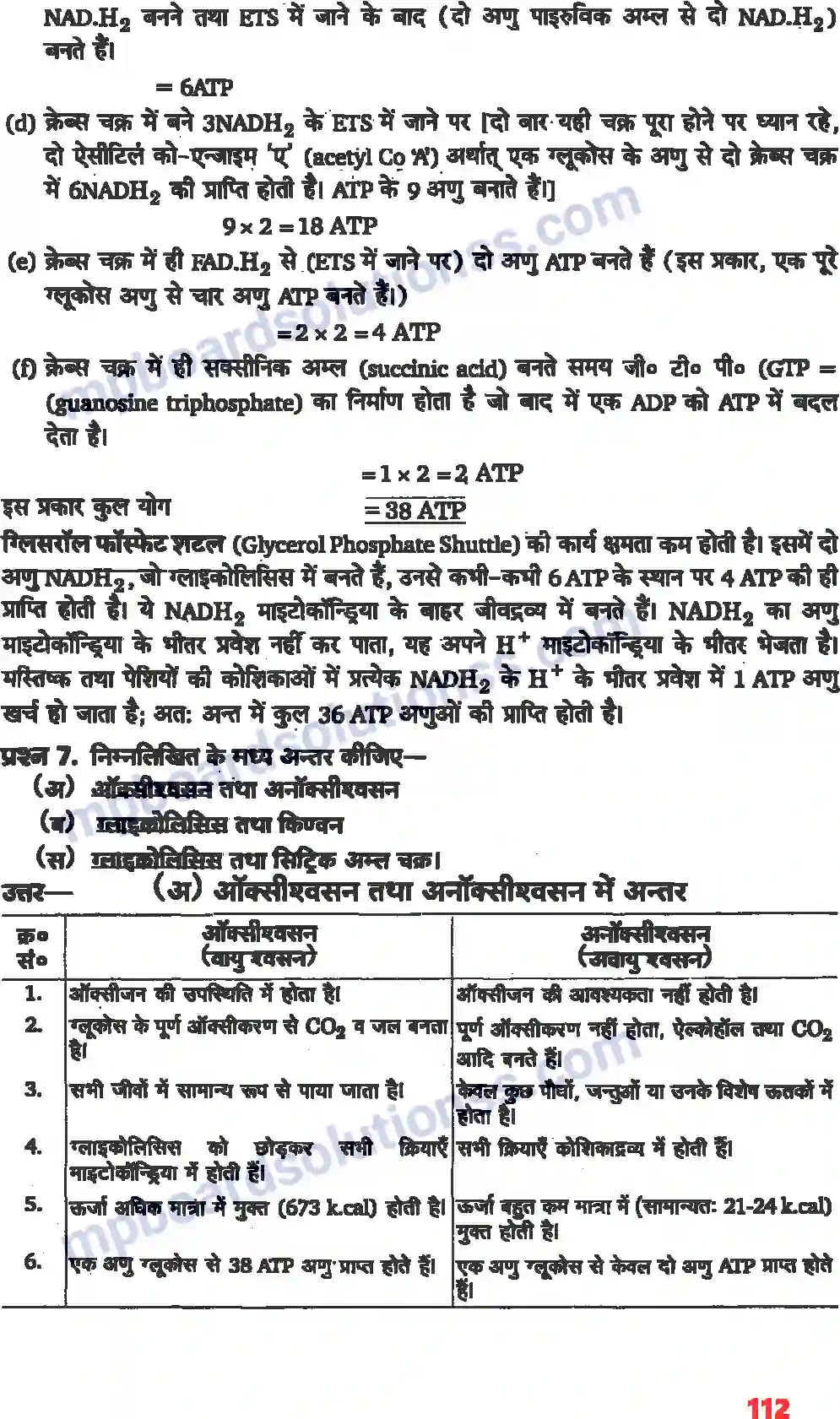 MP Board Book for Class 11 Biology पादप में स्वशन Image 6