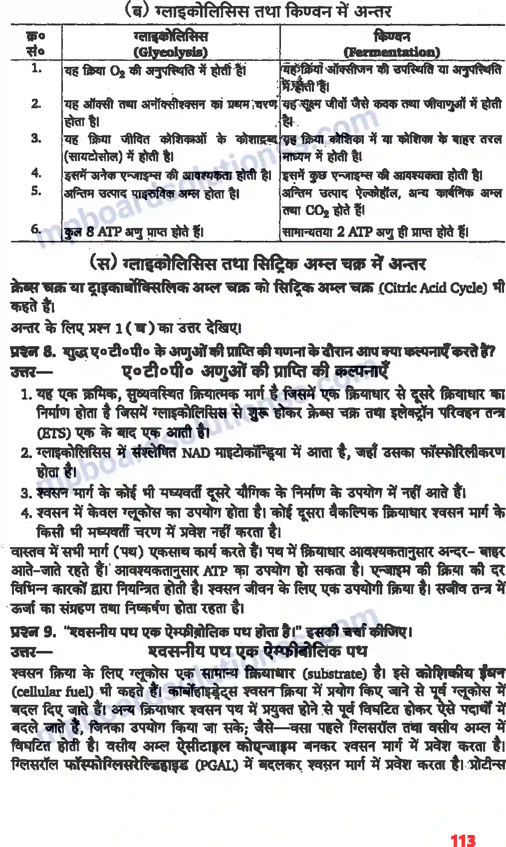 MP Board Book for Class 11 Biology पादप में स्वशन Image 7