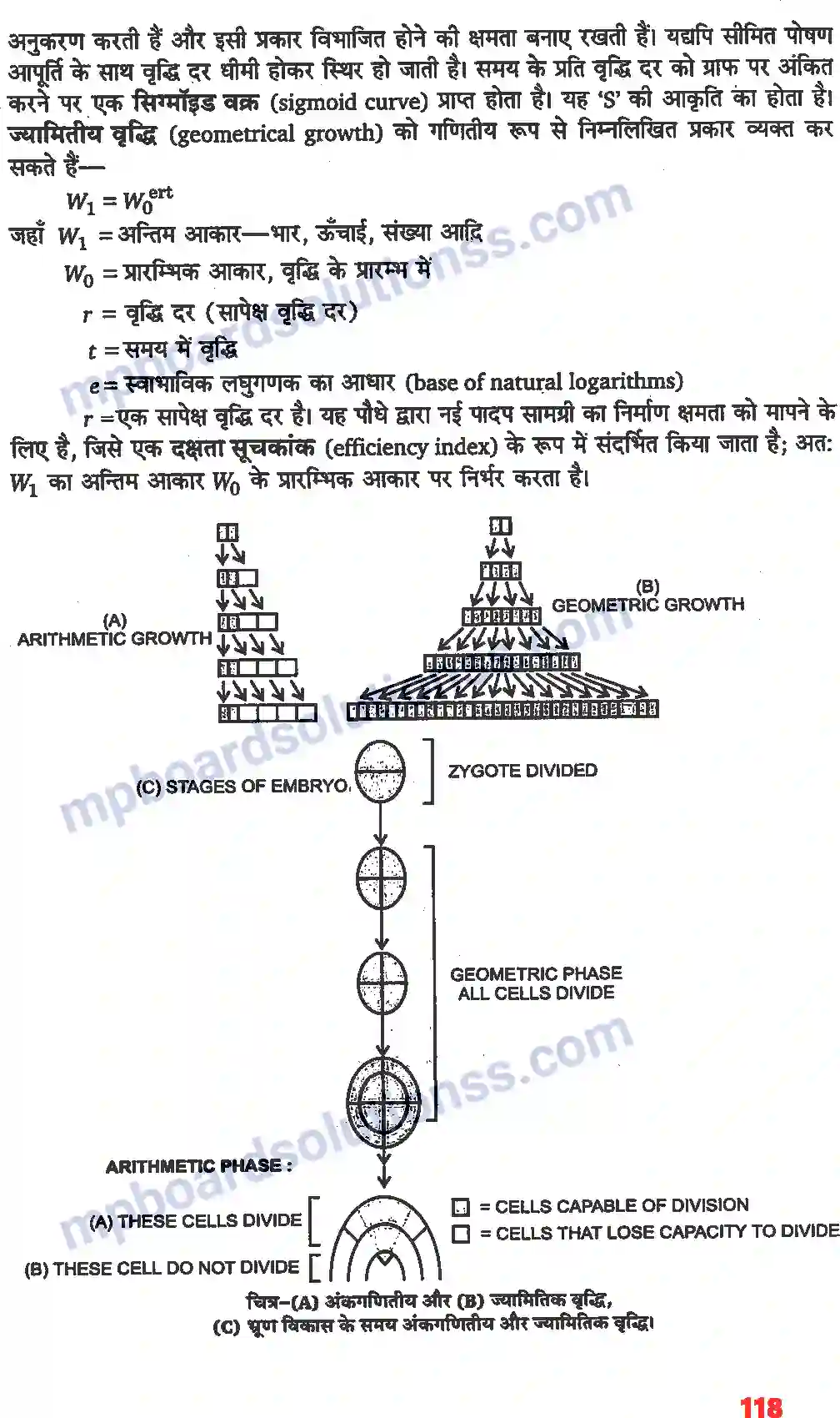 MP Board Book for Class 11 Biology पादप वृद्धि एवं परिवर्धन Image 3