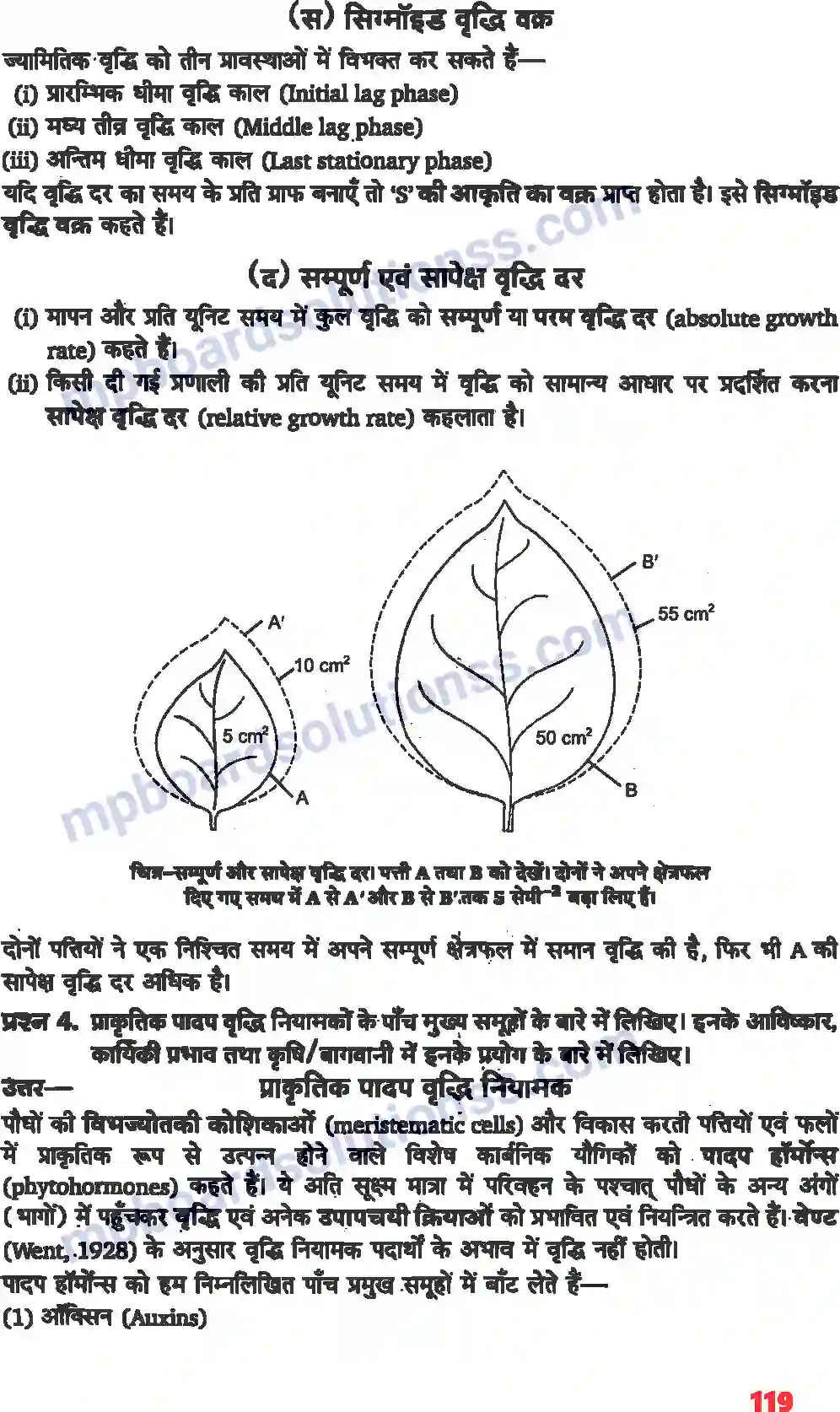 MP Board Book for Class 11 Biology पादप वृद्धि एवं परिवर्धन Image 4