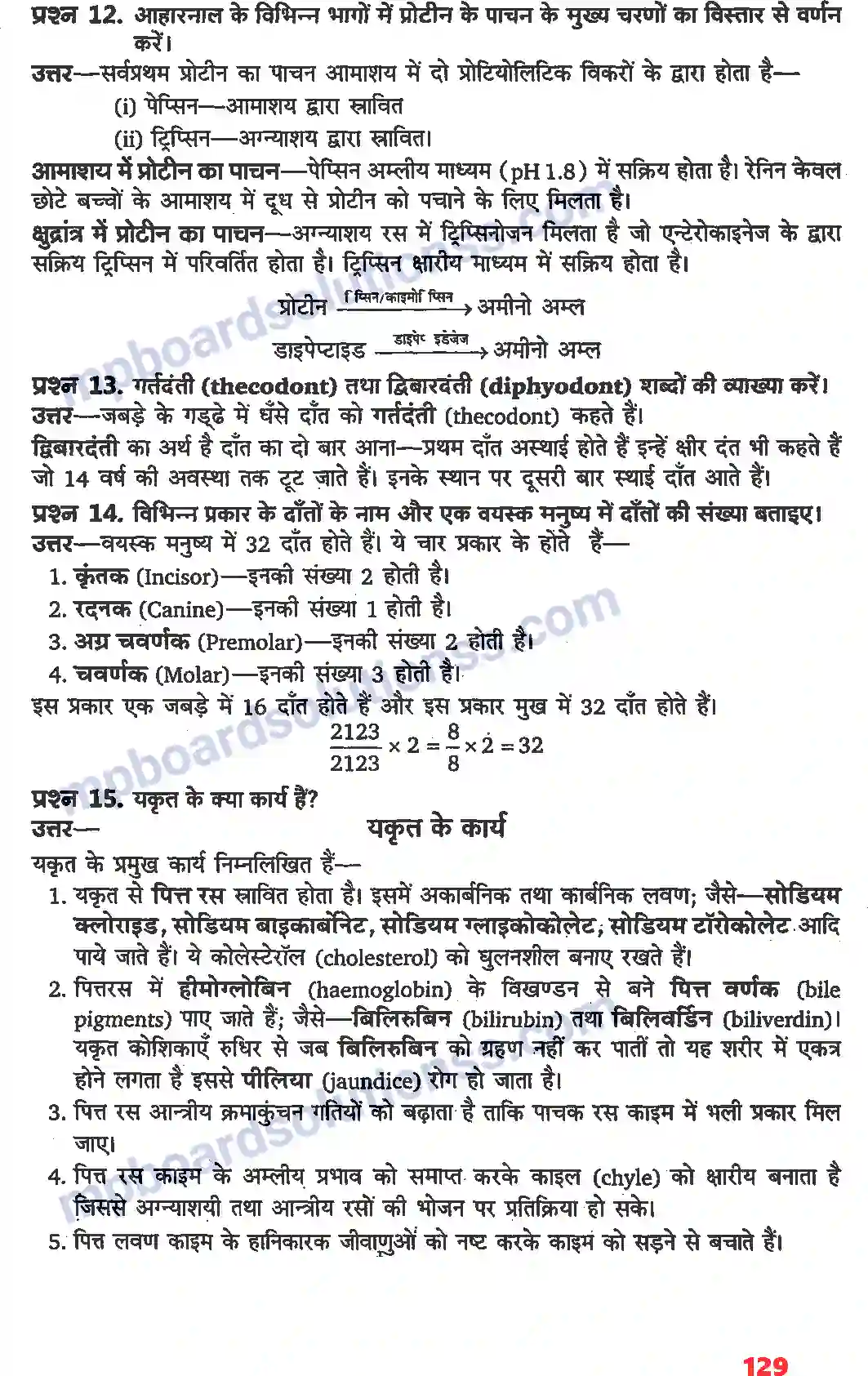 MP Board Book for Class 11 Biology पाचन एवं अवशोषण Image 4