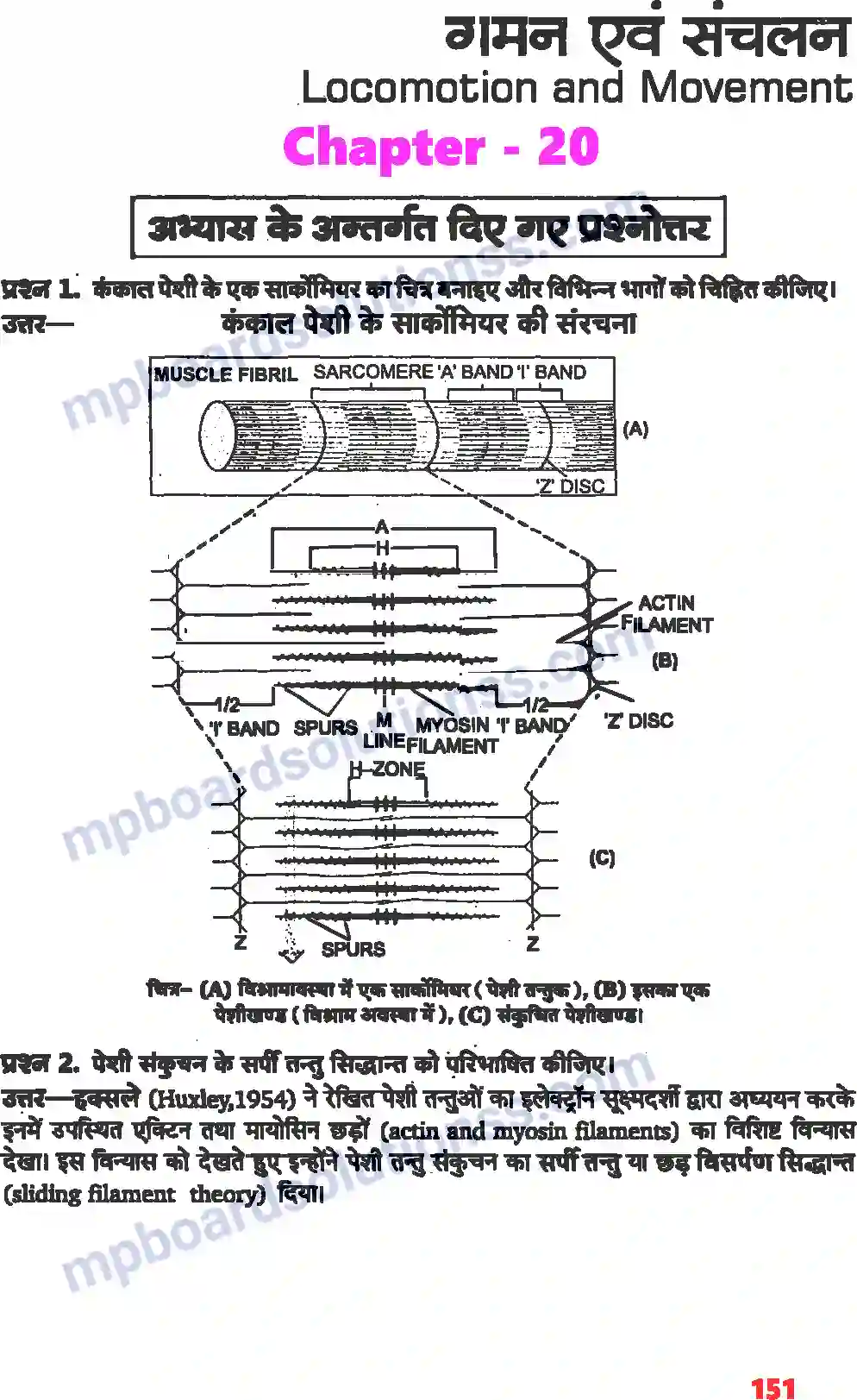 MP Board Book for Class 11 Biology गमन एवं संचलन Image 1