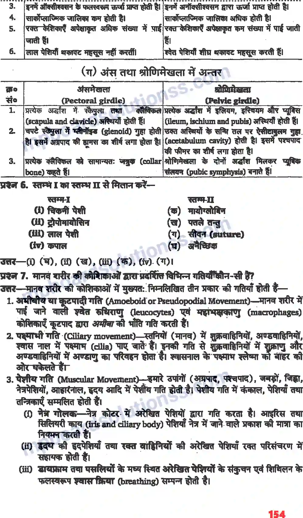 MP Board Book for Class 11 Biology गमन एवं संचलन Image 4