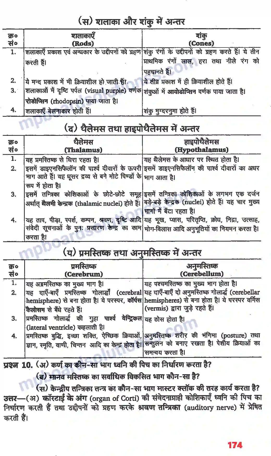 MP Board Book for Class 11 Biology तंत्रिकीय नियंत्रण एवं समन्वय Image 18