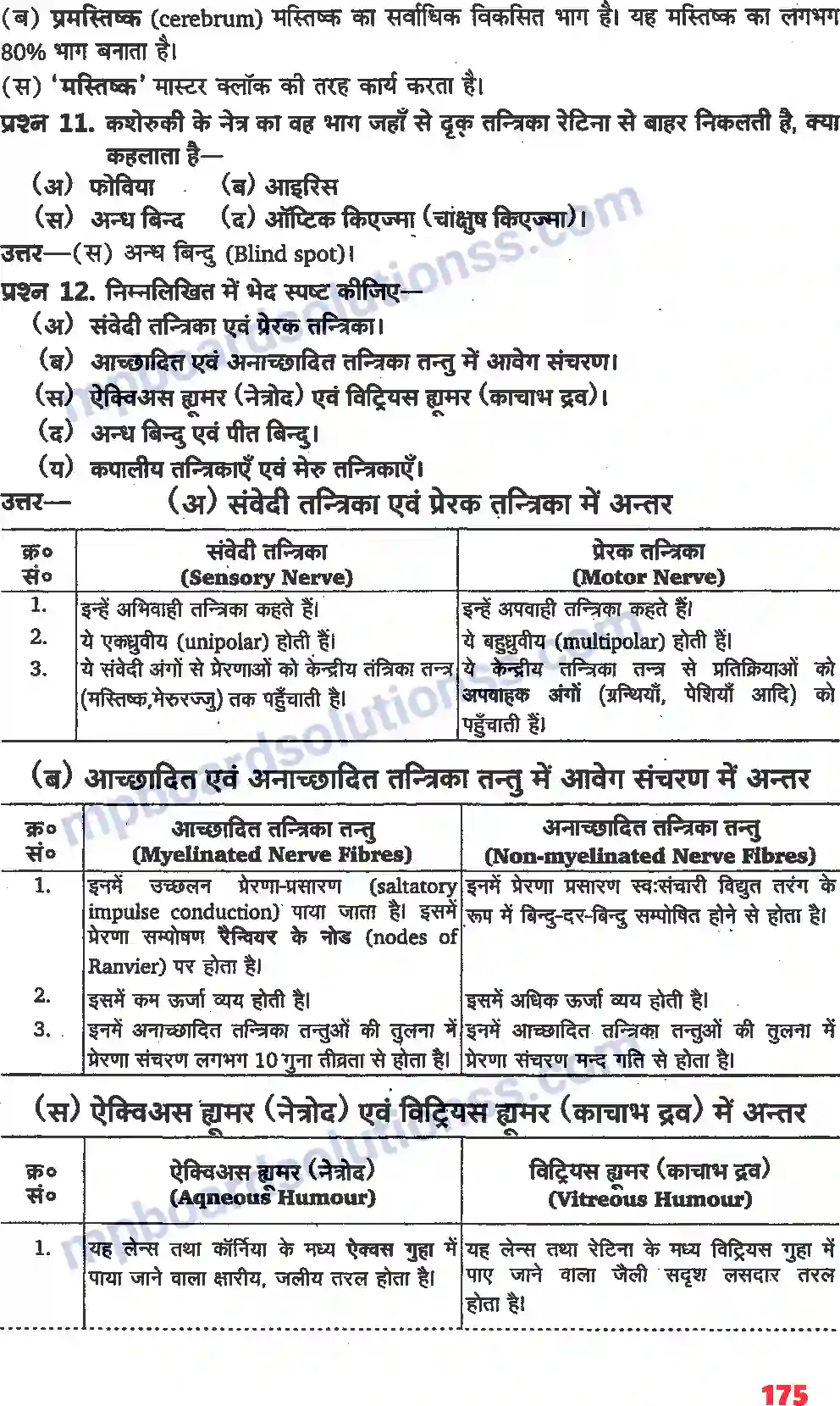 MP Board Book for Class 11 Biology तंत्रिकीय नियंत्रण एवं समन्वय Image 19