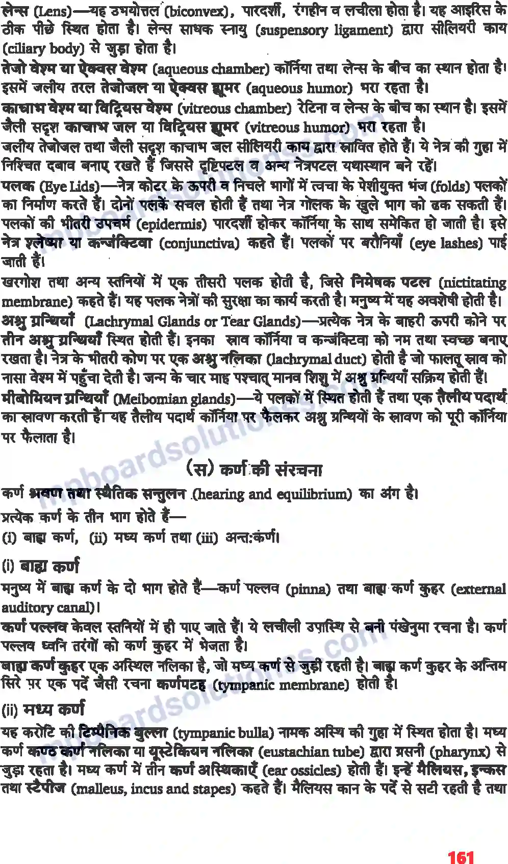 MP Board Book for Class 11 Biology तंत्रिकीय नियंत्रण एवं समन्वय Image 5