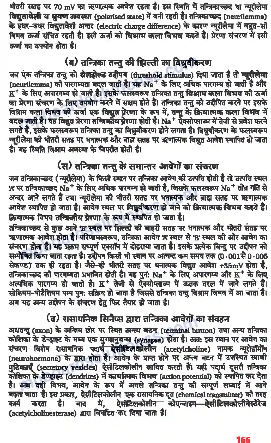 MP Board Book for Class 11 Biology तंत्रिकीय नियंत्रण एवं समन्वय Image 9