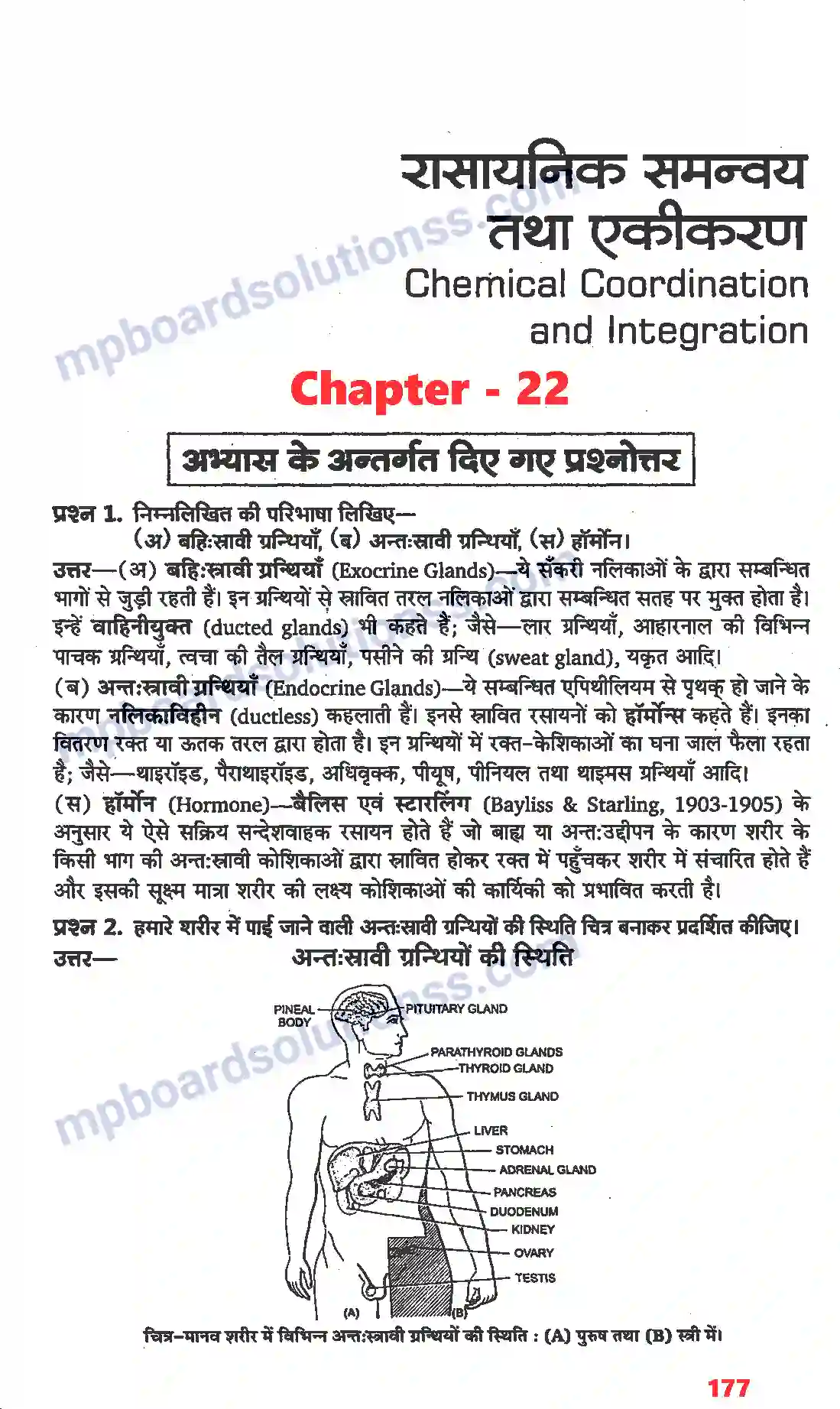 MP Board Book for Class 11 Biology रासायनिक समन्वय तथा एकीकरण Image 1