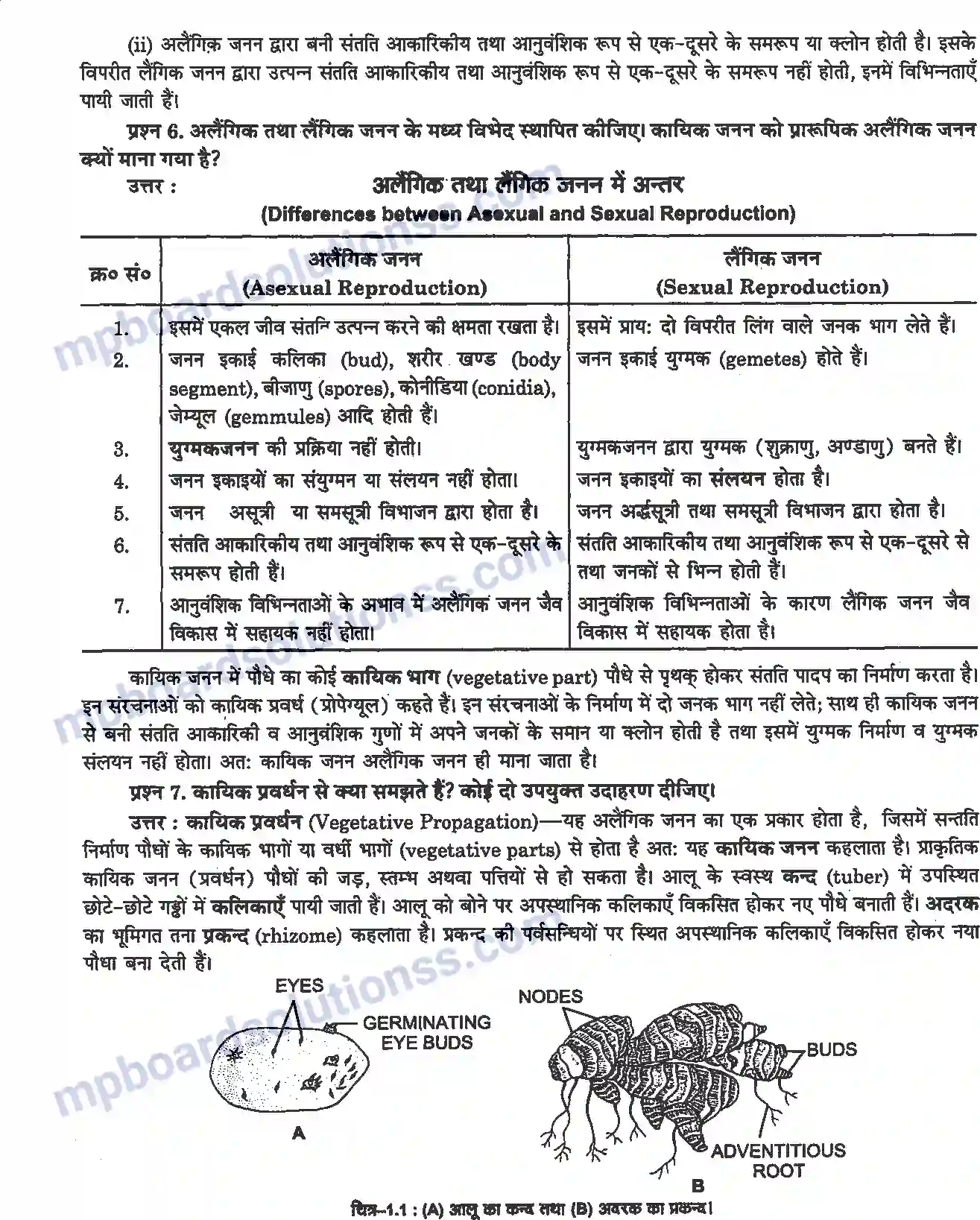 MP Board Book for Class 12 Biology जीवों में जनन Image 2