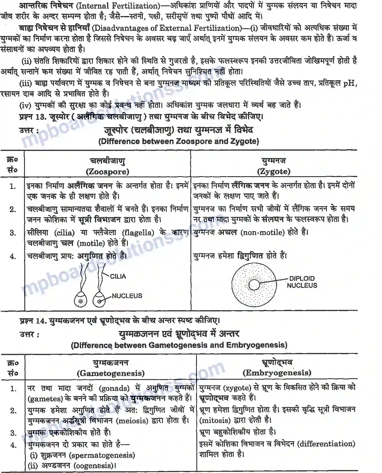 MP Board Book for Class 12 Biology जीवों में जनन Image 4