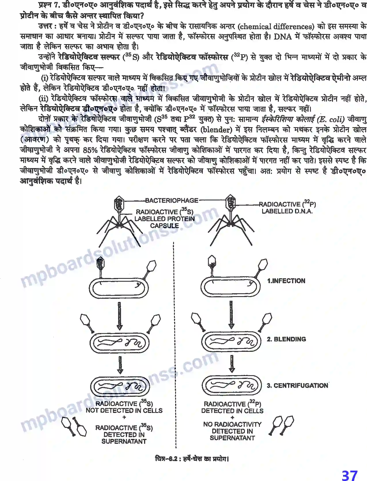 MP Board Book for Class 12 Biology वंशागति के आण्विक आधार Image 3