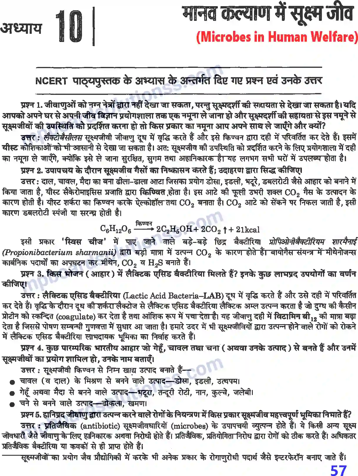 MP Board Book for Class 12 Biology मानव कल्याण में सूक्ष्म जीव Image 1