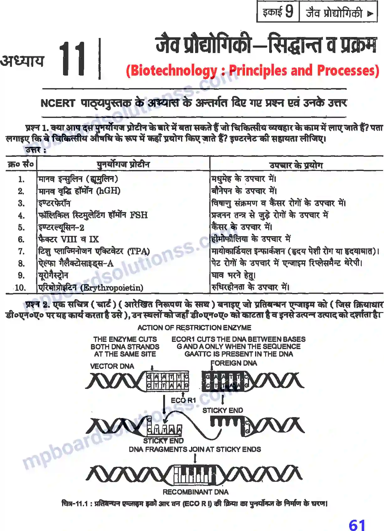 MP Board Book for Class 12 Biology जैव प्रौद्योगिकी - सिद्धांत व प्रक्रम Image 1