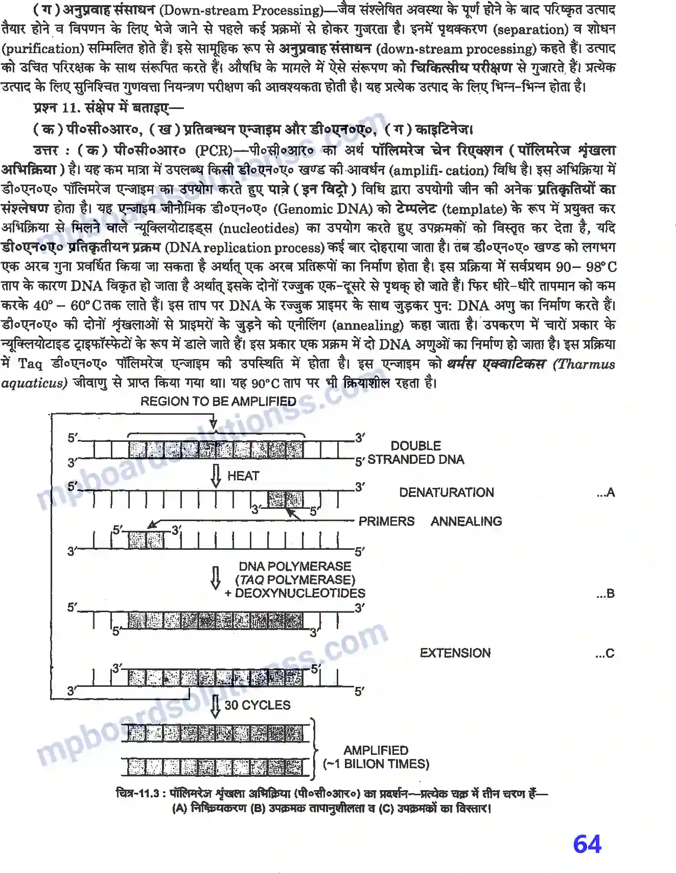 MP Board Book for Class 12 Biology जैव प्रौद्योगिकी - सिद्धांत व प्रक्रम Image 4
