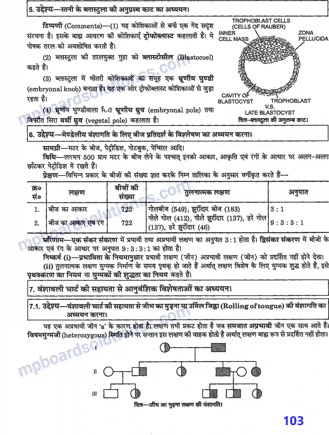MP Board Book for Class 12 Biology प्रयोगात्मक एवं प्रोजेक्ट कार्य Image 10