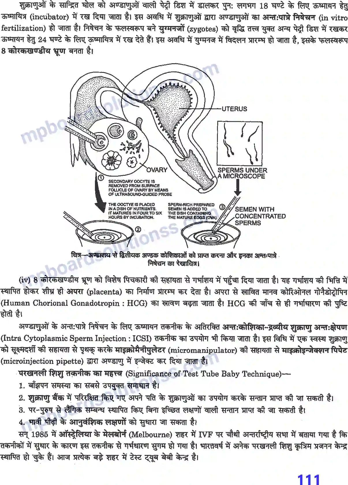 MP Board Book for Class 12 Biology प्रयोगात्मक एवं प्रोजेक्ट कार्य Image 18
