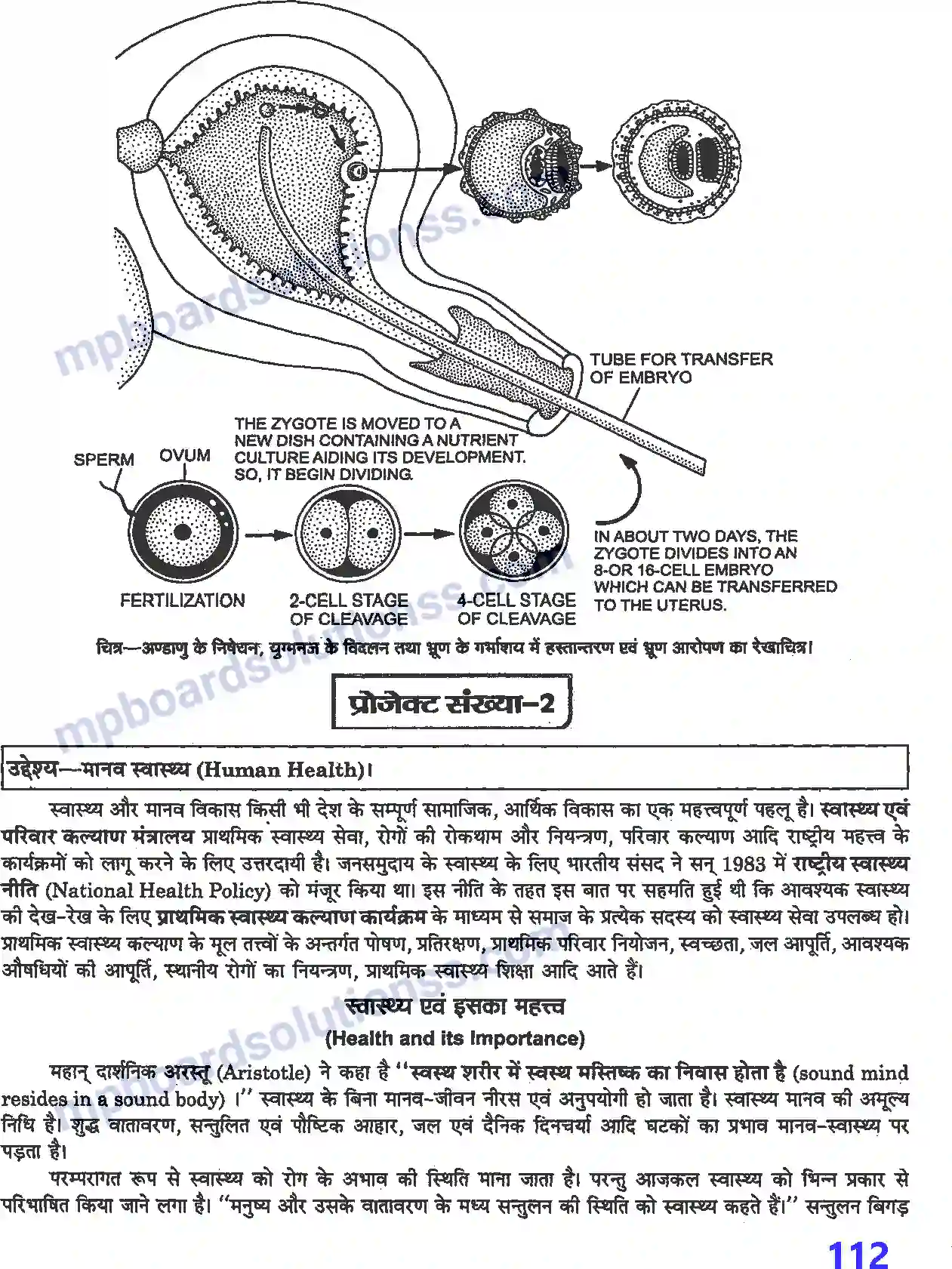 MP Board Book for Class 12 Biology प्रयोगात्मक एवं प्रोजेक्ट कार्य Image 19