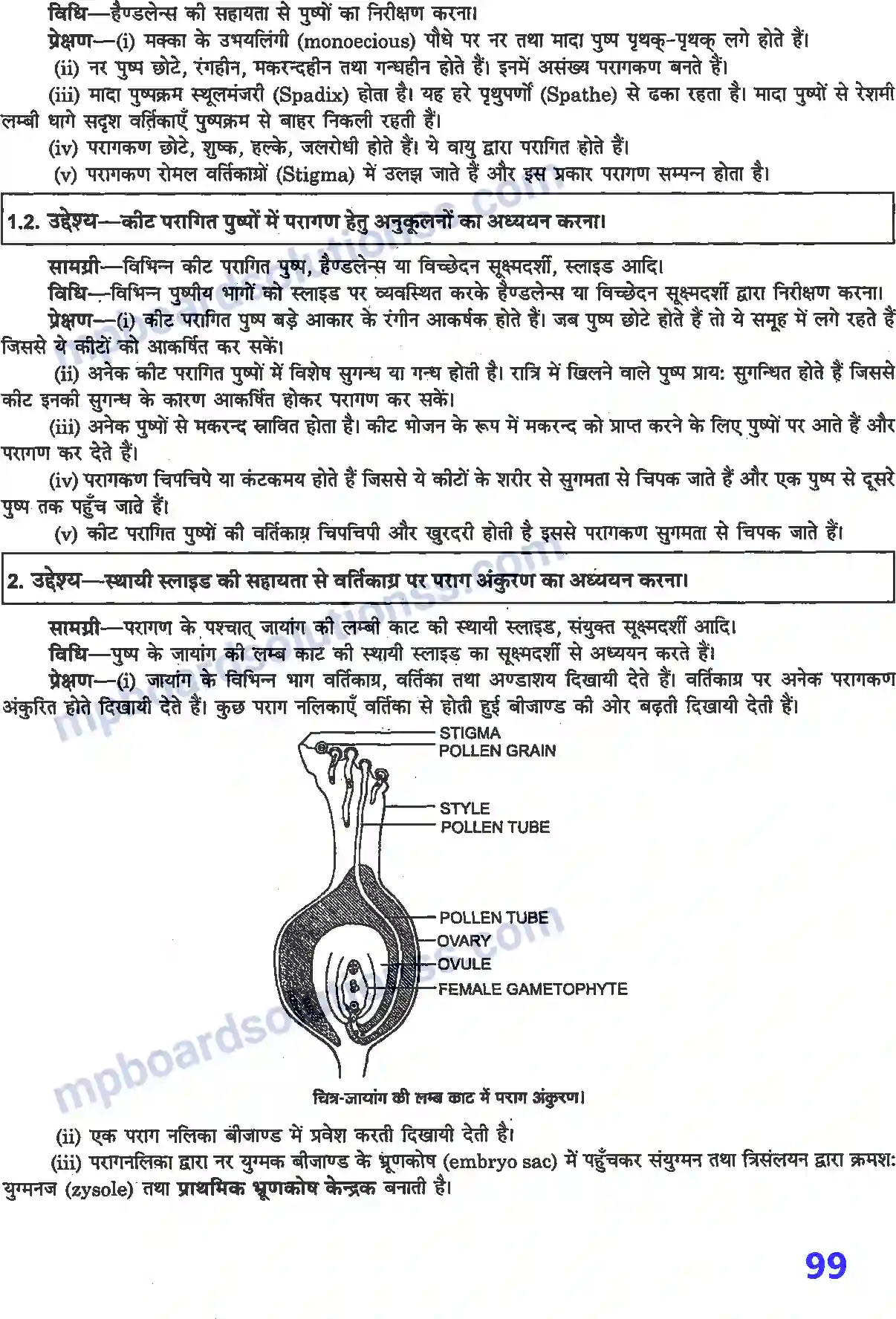 MP Board Book for Class 12 Biology प्रयोगात्मक एवं प्रोजेक्ट कार्य Image 6
