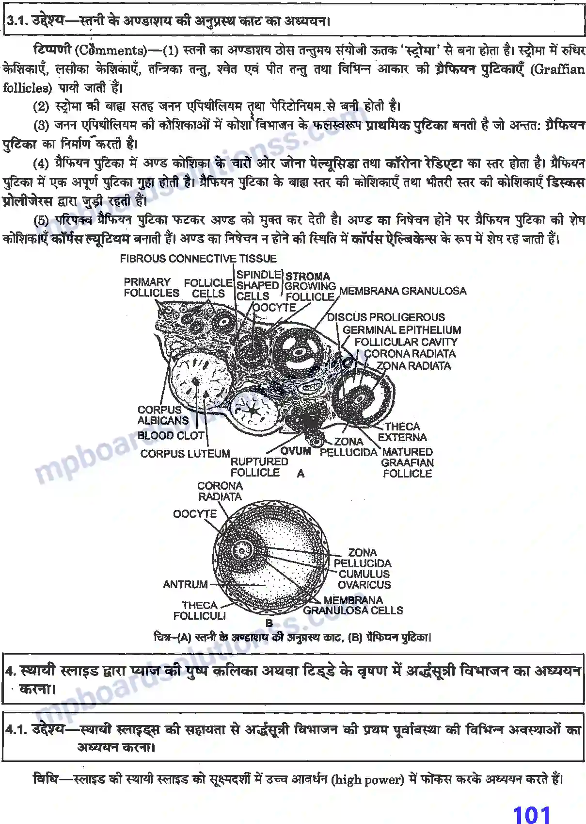 MP Board Book for Class 12 Biology प्रयोगात्मक एवं प्रोजेक्ट कार्य Image 8