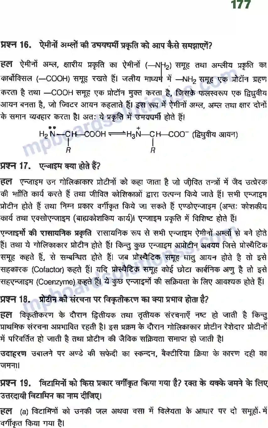 MP Board Book for Class 12 Chemistry जैव अणु Image 10