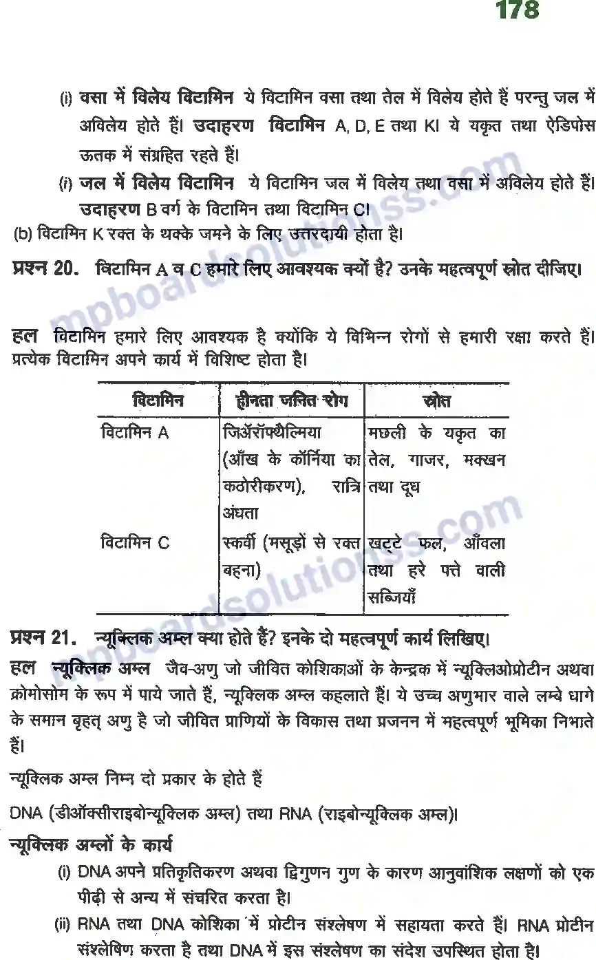 MP Board Book for Class 12 Chemistry जैव अणु Image 11