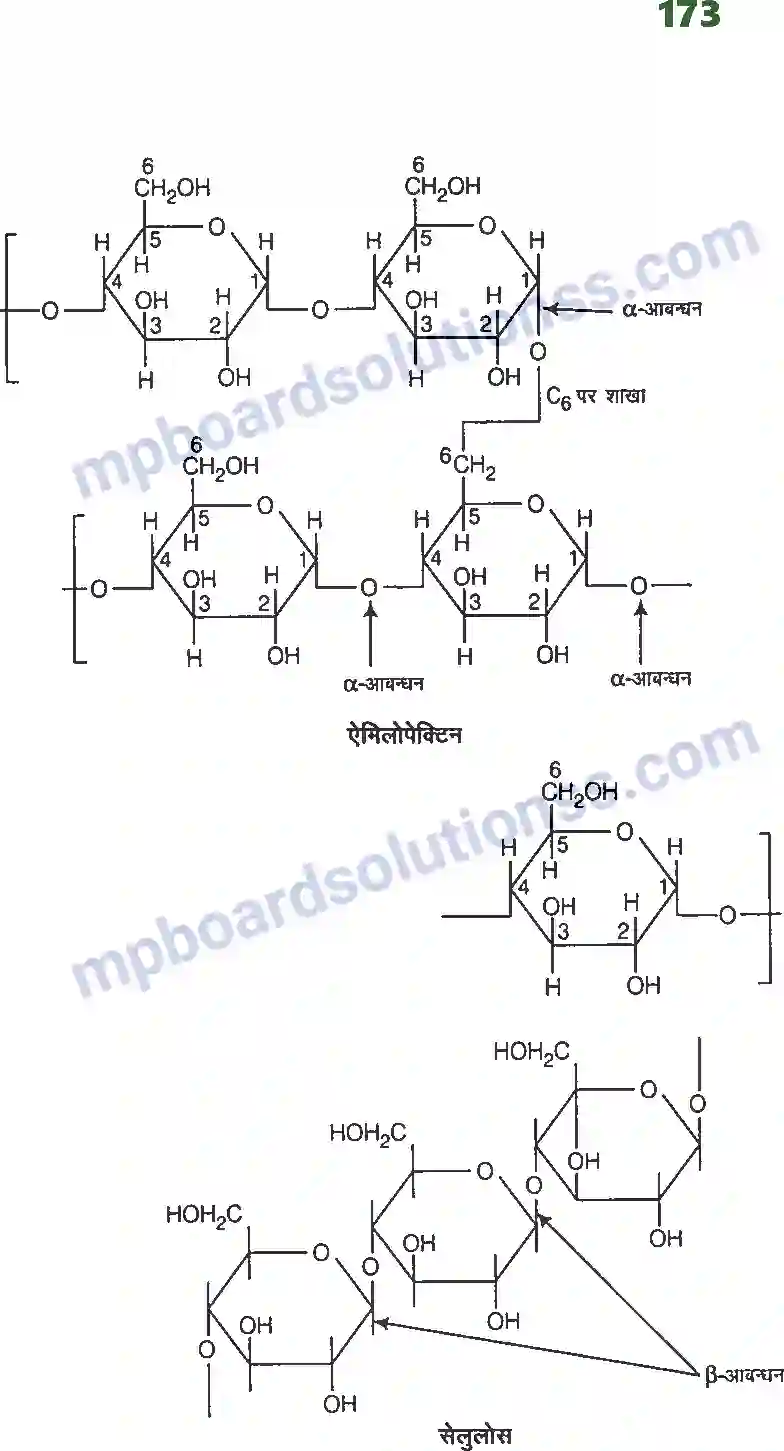 MP Board Book for Class 12 Chemistry जैव अणु Image 6