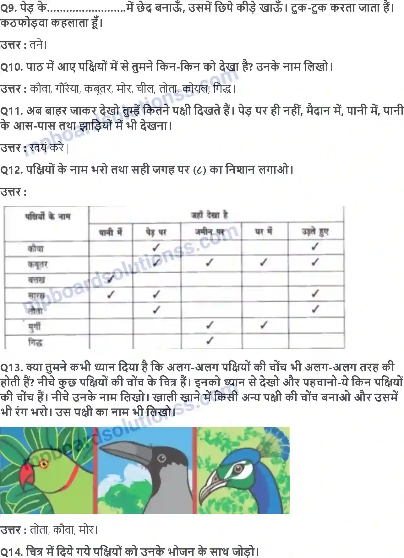 MP Board Book for Class 3 EVS पंख फैलाएँ; उड़ते जाएँ Image 2