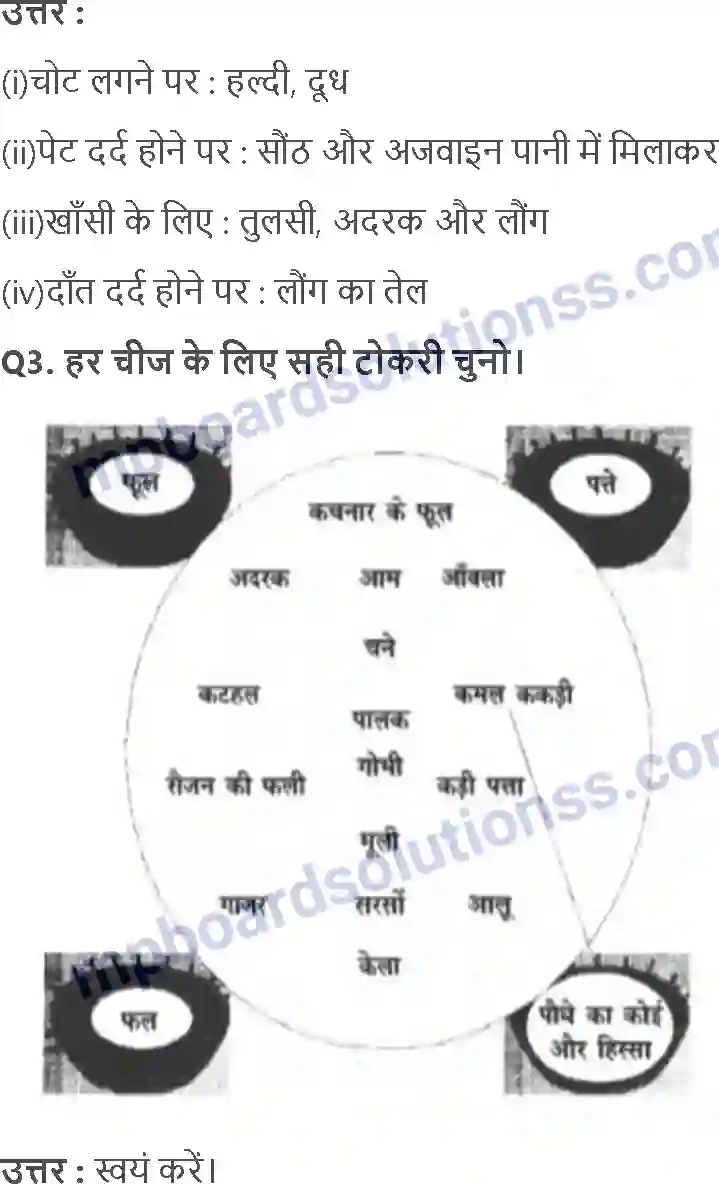 MP Board Book for Class 3 EVS कहाँ से आया; किसने पकाया Image 3