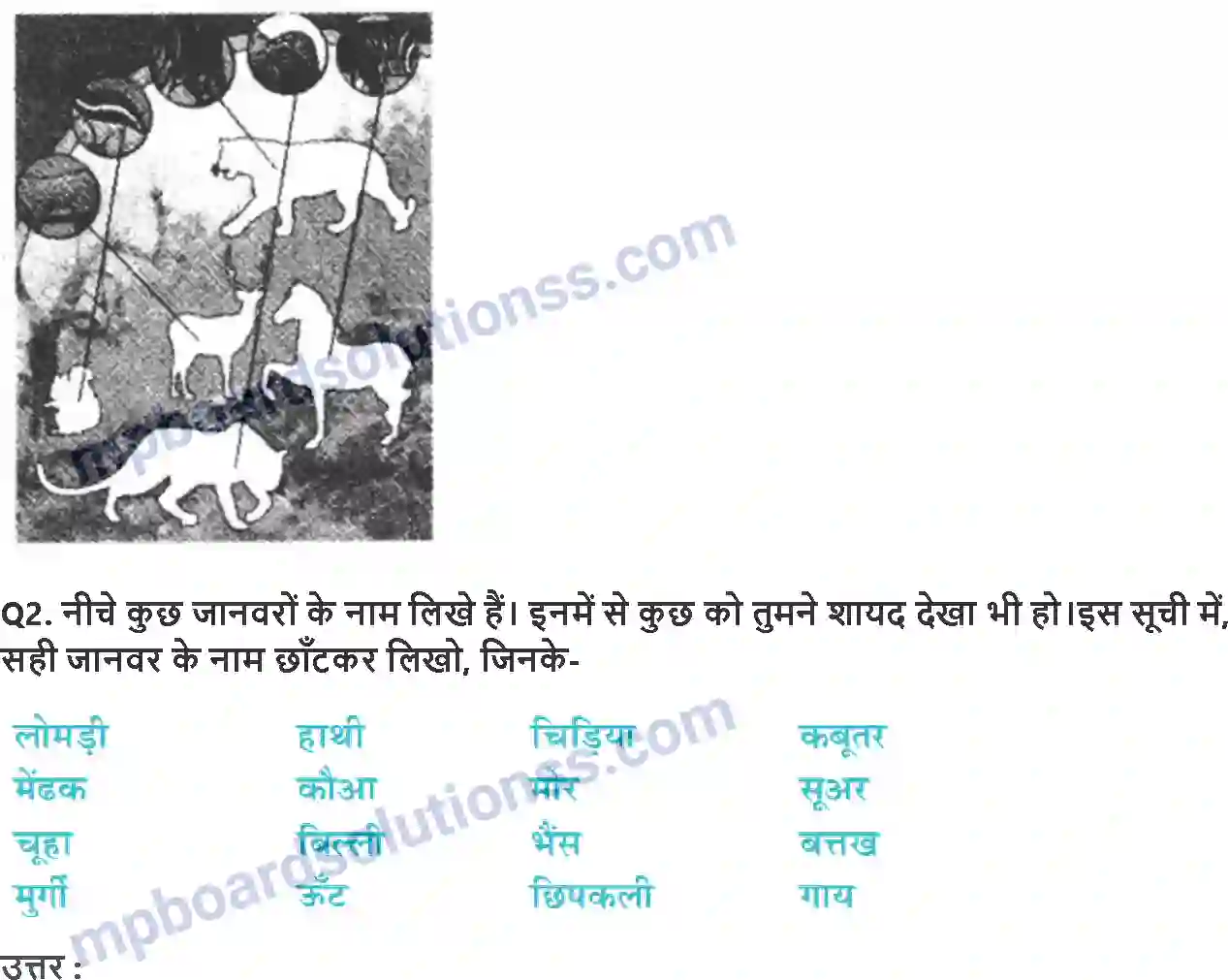 MP Board Book for Class 4 EVS कान-कान मे Image 4