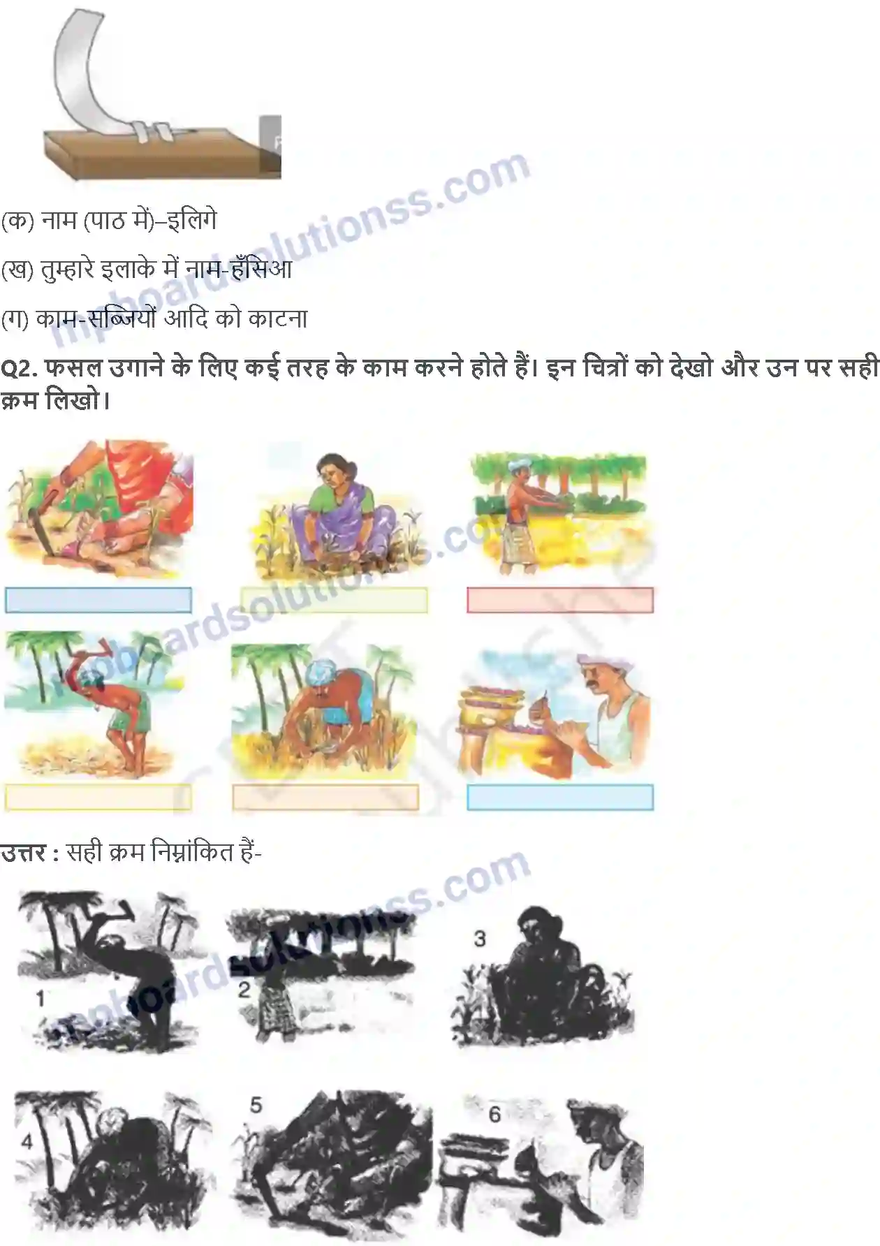 MP Board Book for Class 4 EVS बसवा का खेत Image 3