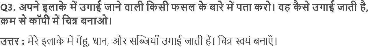 MP Board Book for Class 4 EVS बसवा का खेत Image 4