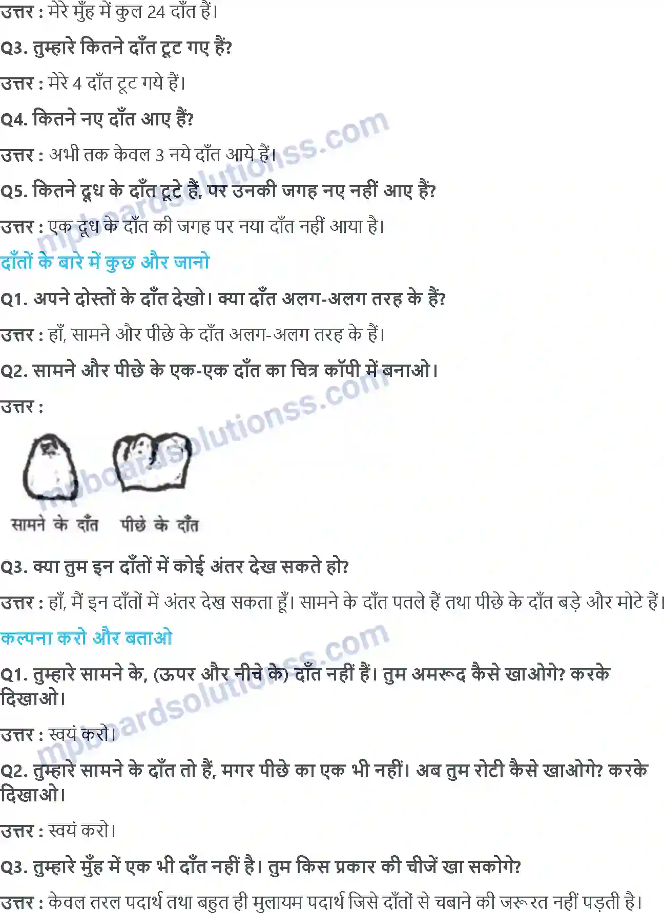 MP Board Book for Class 4 EVS चुं चुं कऱती आई चिड़िय़ा Image 5