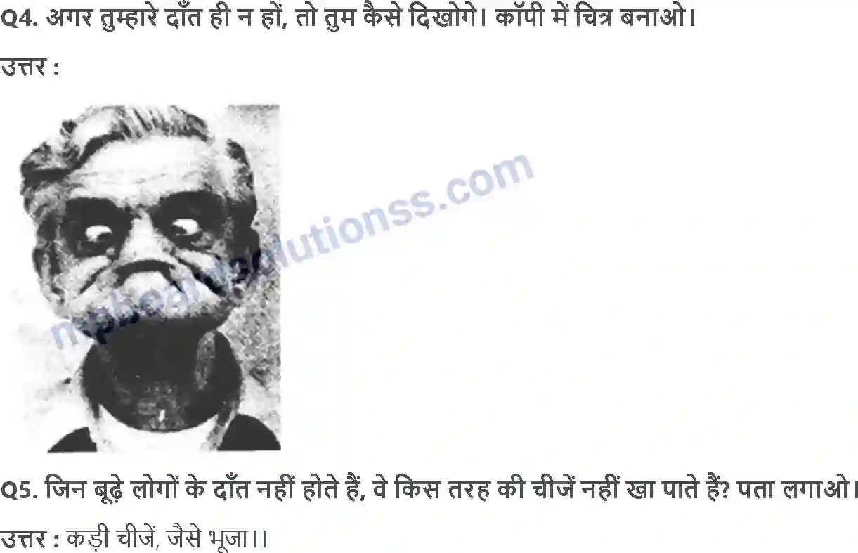 MP Board Book for Class 4 EVS चुं चुं कऱती आई चिड़िय़ा Image 6