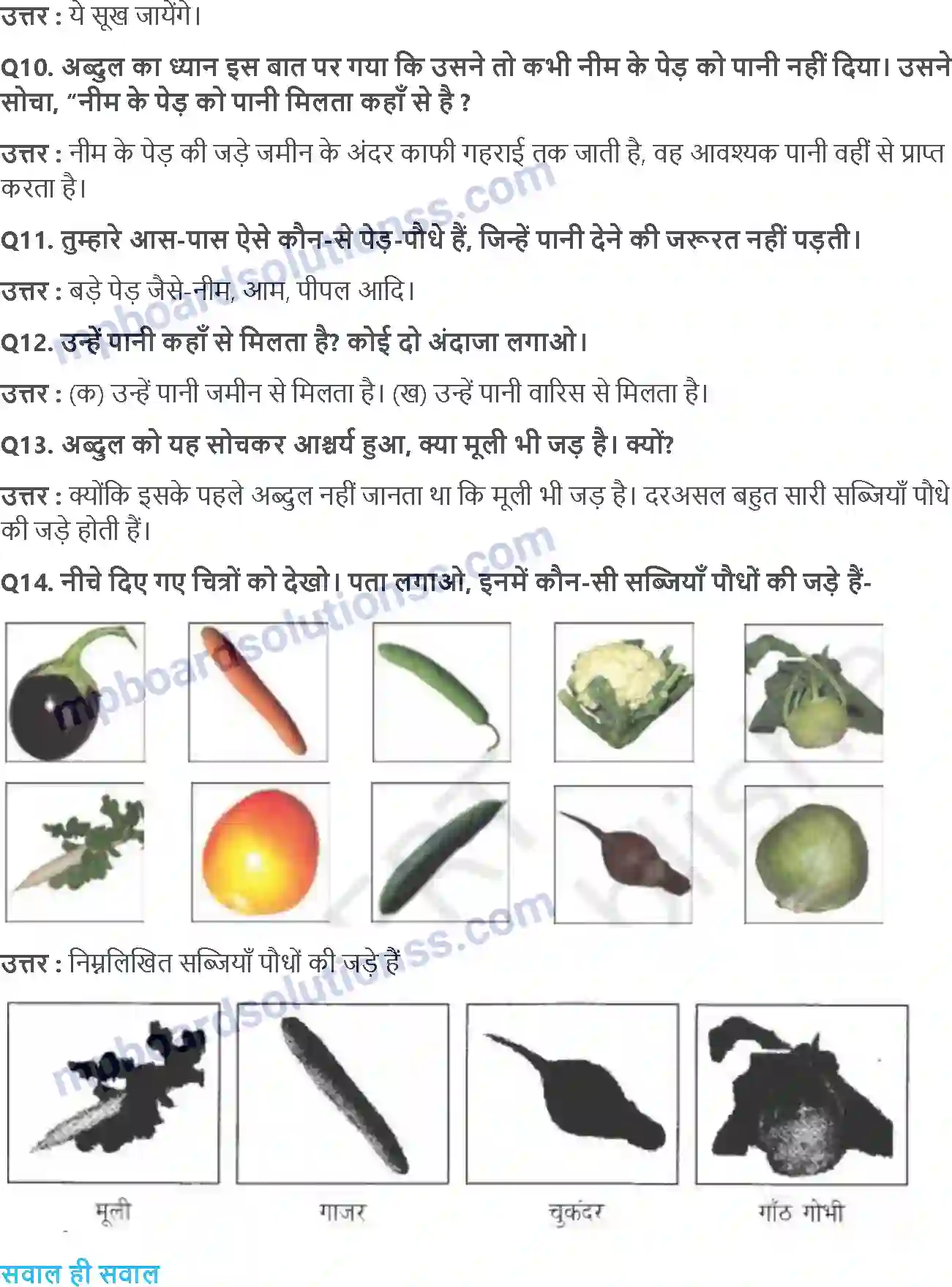 MP Board Book for Class 4 EVS ज़ड़ों क़ा ज़ाल Image 2