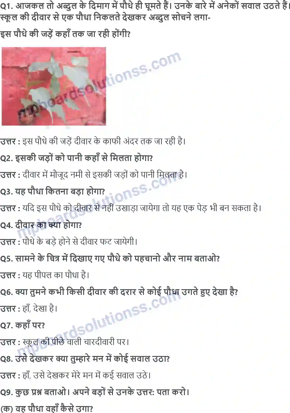 MP Board Book for Class 4 EVS ज़ड़ों क़ा ज़ाल Image 3