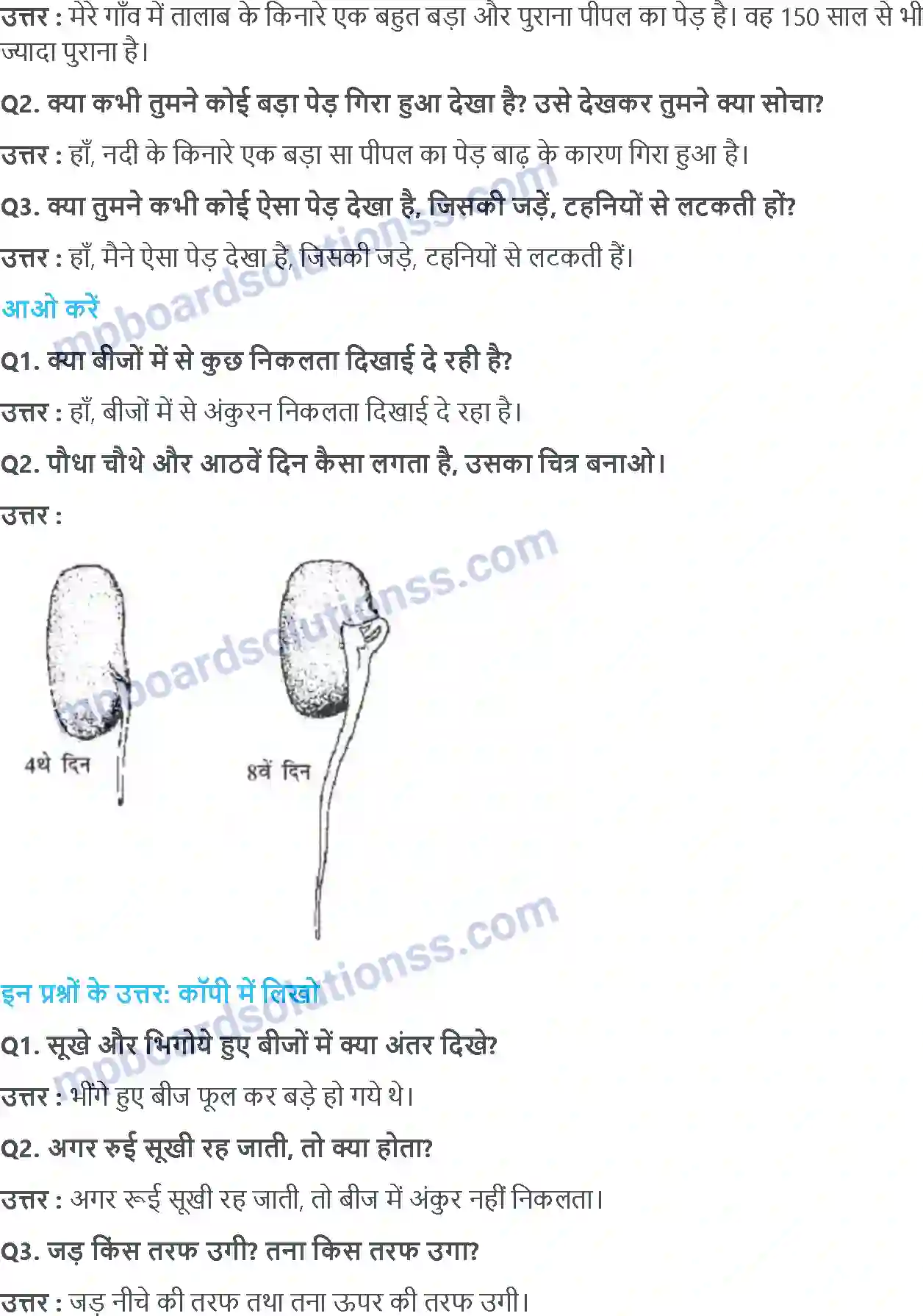 MP Board Book for Class 4 EVS ज़ड़ों क़ा ज़ाल Image 5