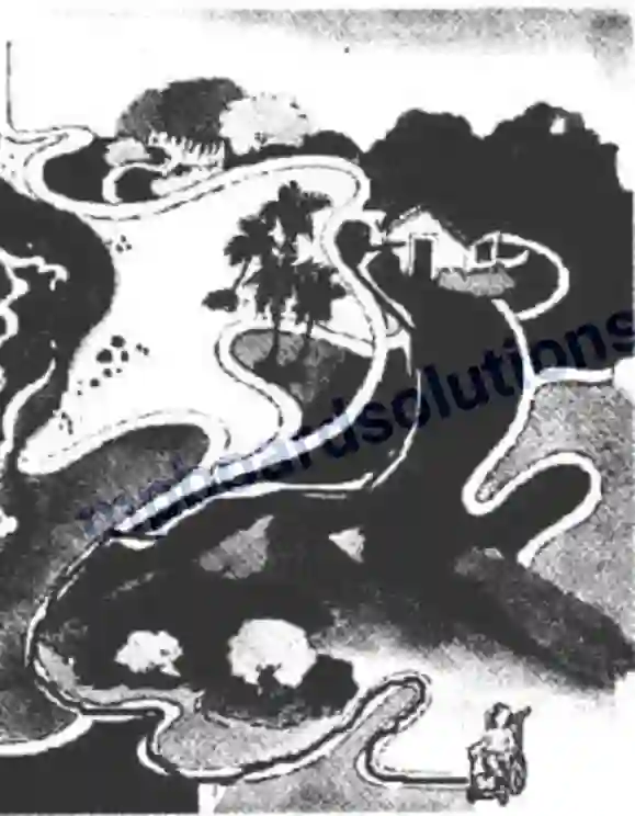 MP Board Book for Class 4 EVS कोशिश हुई कामियाब Image 4