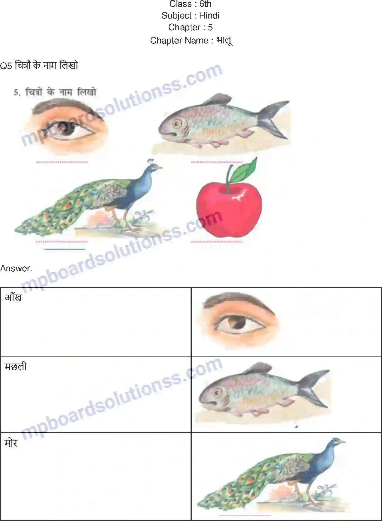 MP Board Book for Class 6 Hindi भालू Image 1