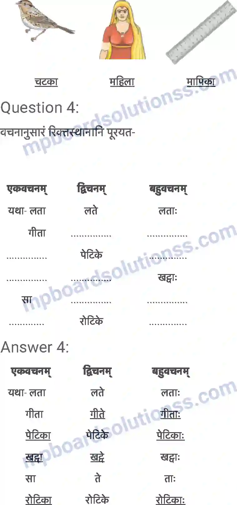 MP Board Book for Class 6 Sanskrit शब्द परिचयः 2 Image 6